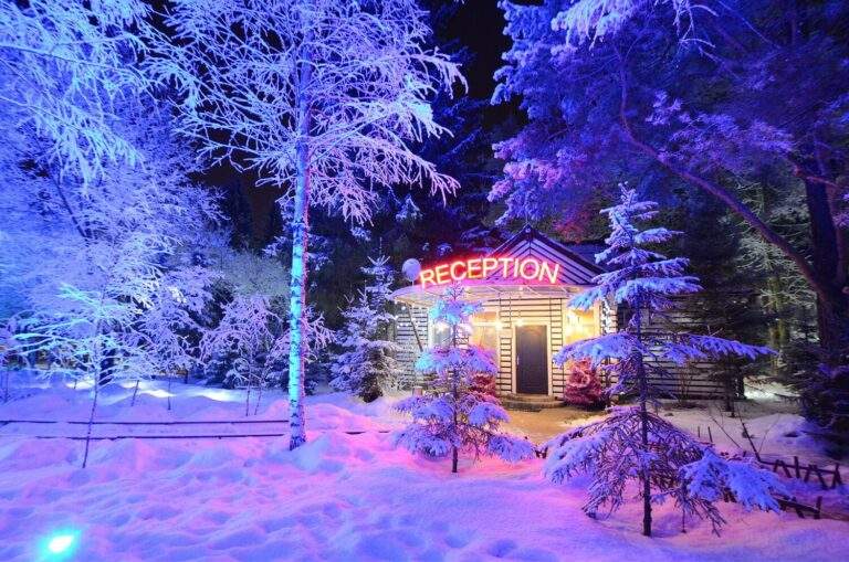 Новый год в отеле Подмосковья